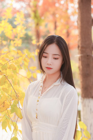 年輕老師4韓國手機在線