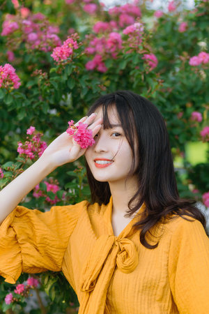 大魚(yú)海棠圖片