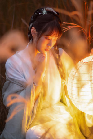 華燈初上哪里可以看